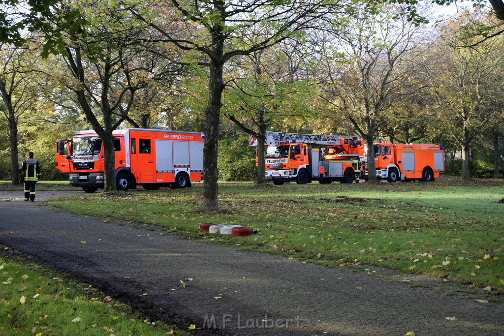 Feuer 1 brannten 3 Lauben Koeln Fuehlingen Kriegerhofstr P145.JPG - Miklos Laubert